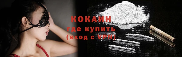 крисы Дмитриев