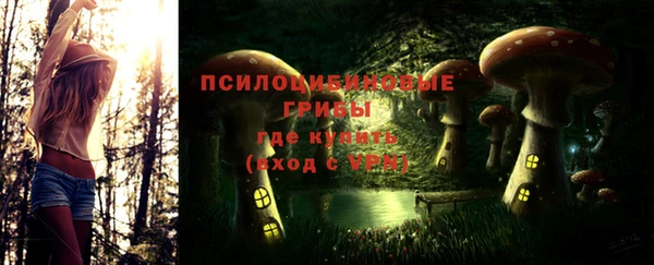COCAINE Гусиноозёрск