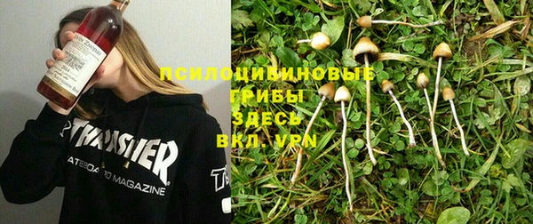 кристаллы Гусев