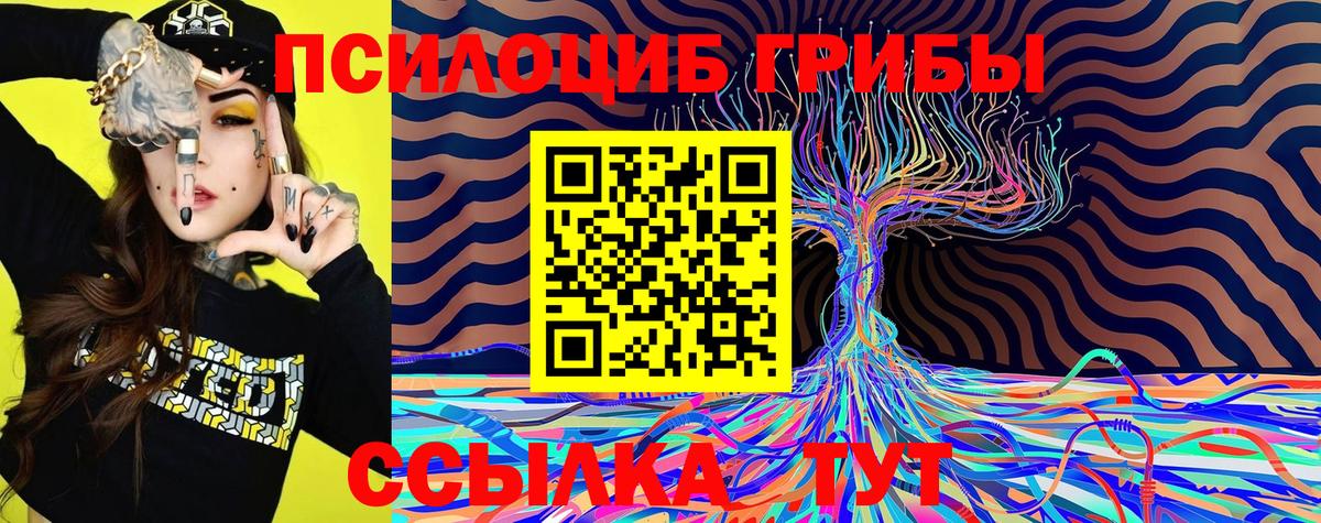 Псилоцибиновые грибы MAGIC MUSHROOMS  Галлюциногенные грибы Cubensis  Грозный  Вход с VPN 