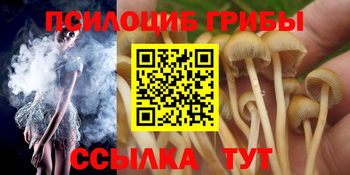 Псилоцибиновые грибы GOLDEN TEACHER  Грозный 