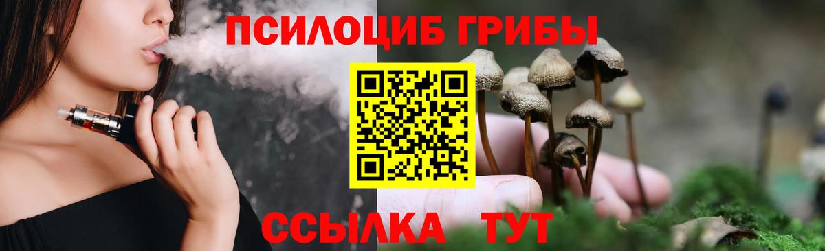 Галлюциногенные грибы Psilocybe Грозный
